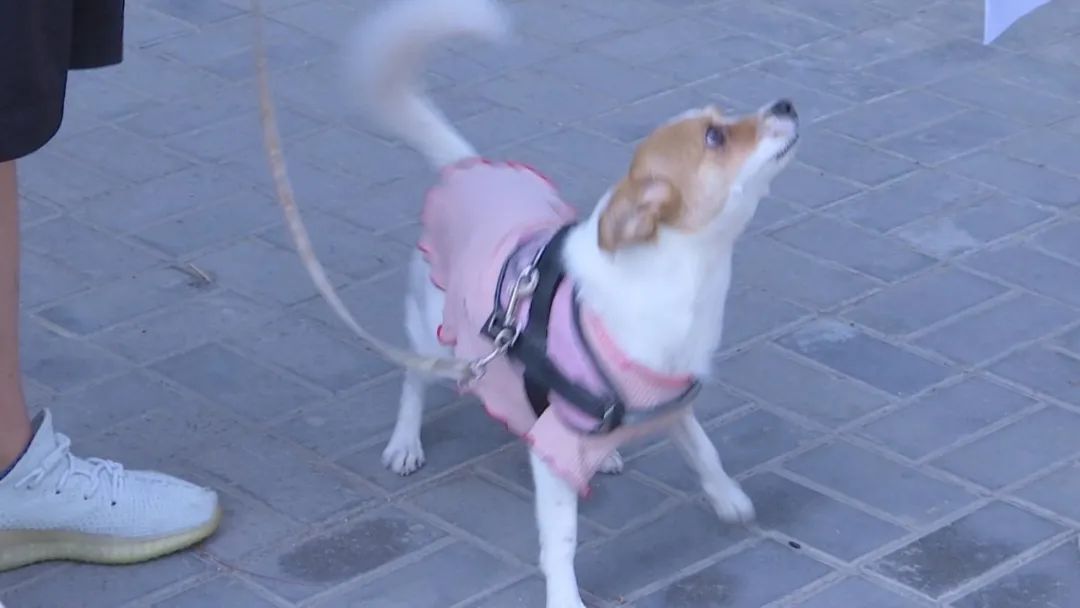 DƬ